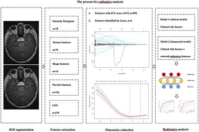 A Preoperative MRI-Based Radiomics-Clinicopathological Classifier to Predict the Recurrence of Pituitary Macroadenoma Within 5 Years